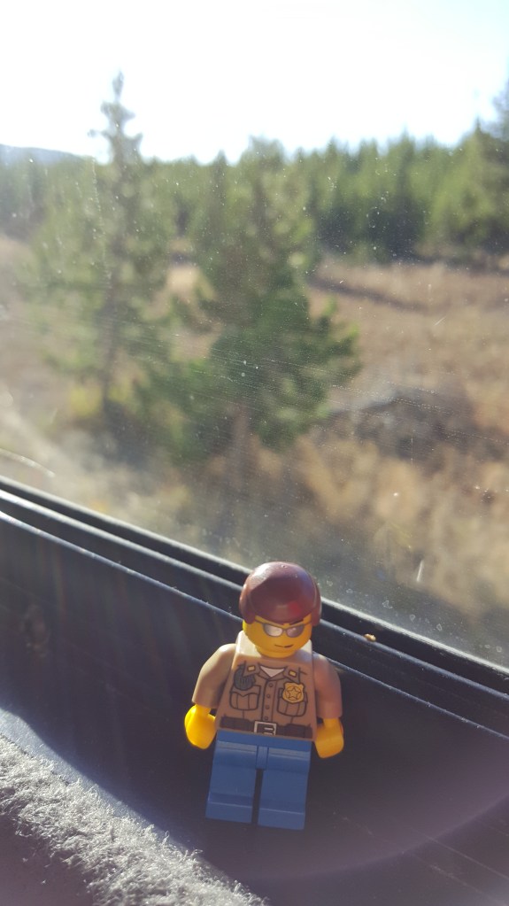 Uno de los pasajeros acompañantes