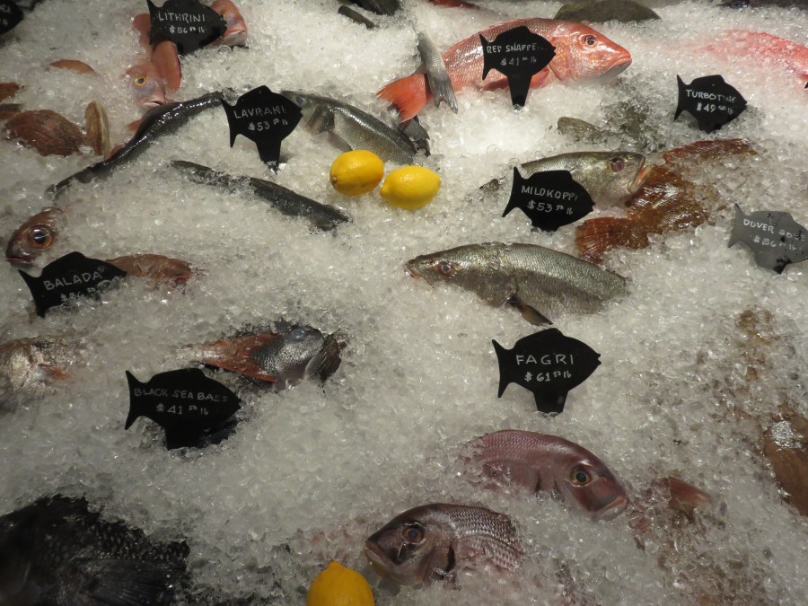 Ostiones y Pescados Frescos..deliciosos