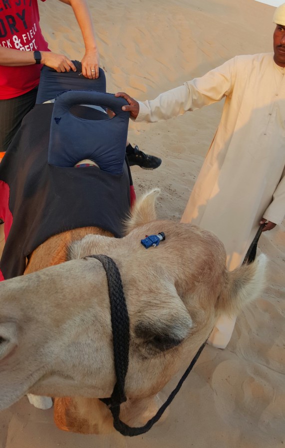 Relajación después de mareo en las dunas